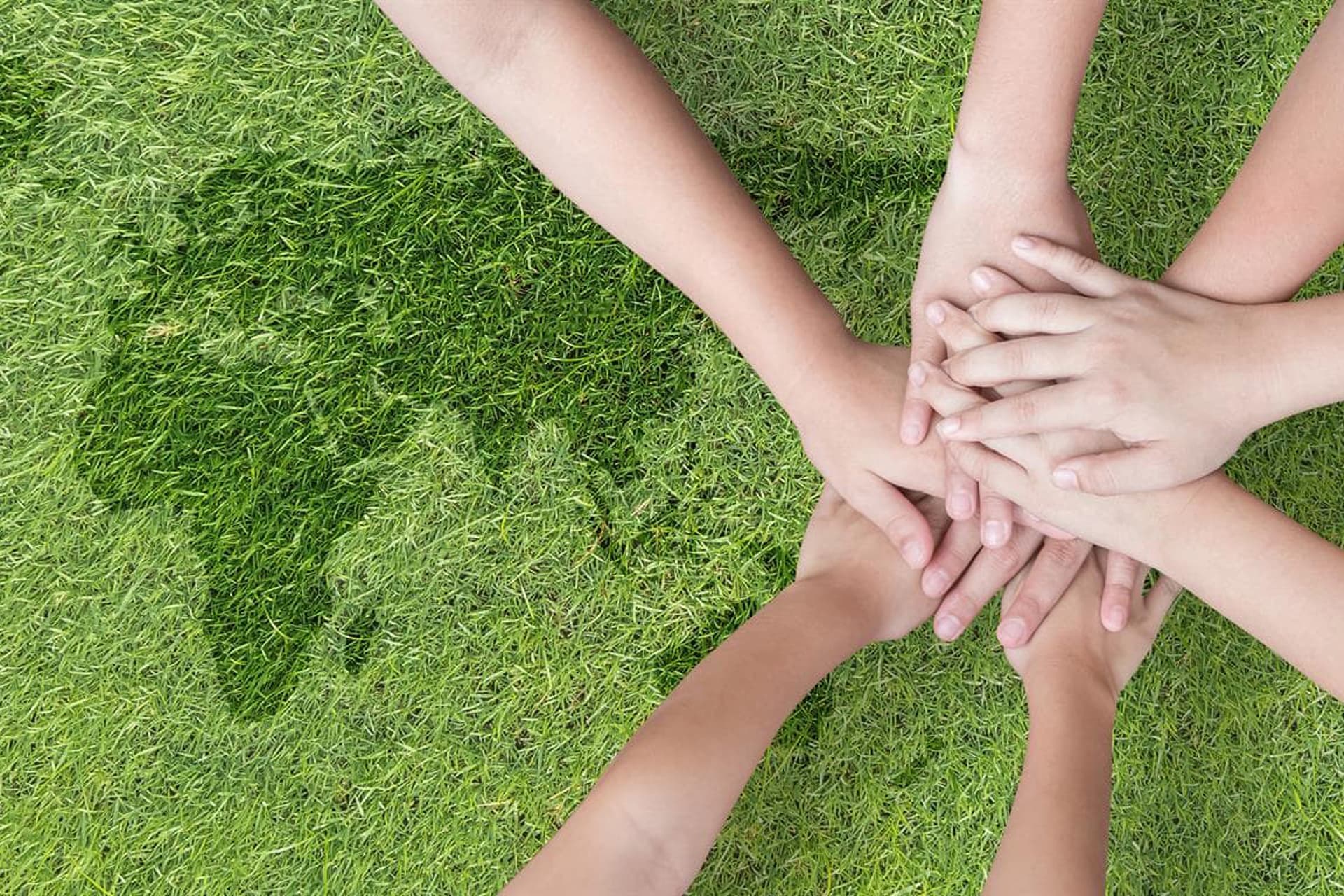 Concienciados con el cuidado del medio ambiente