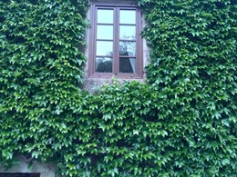 IMG-20190516-WA0001