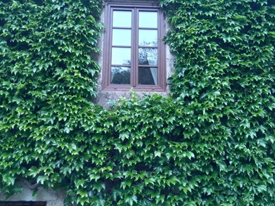 IMG-20190516-WA0001